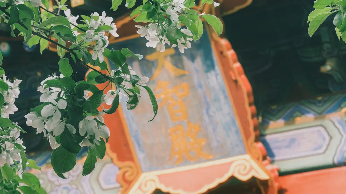 Ultimate Guide to China in Spring 2026